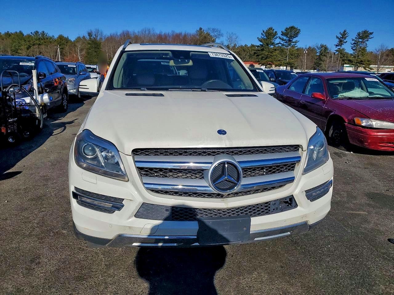 2013 Mercedes-Benz Gl 450 4Matic - Фото 5