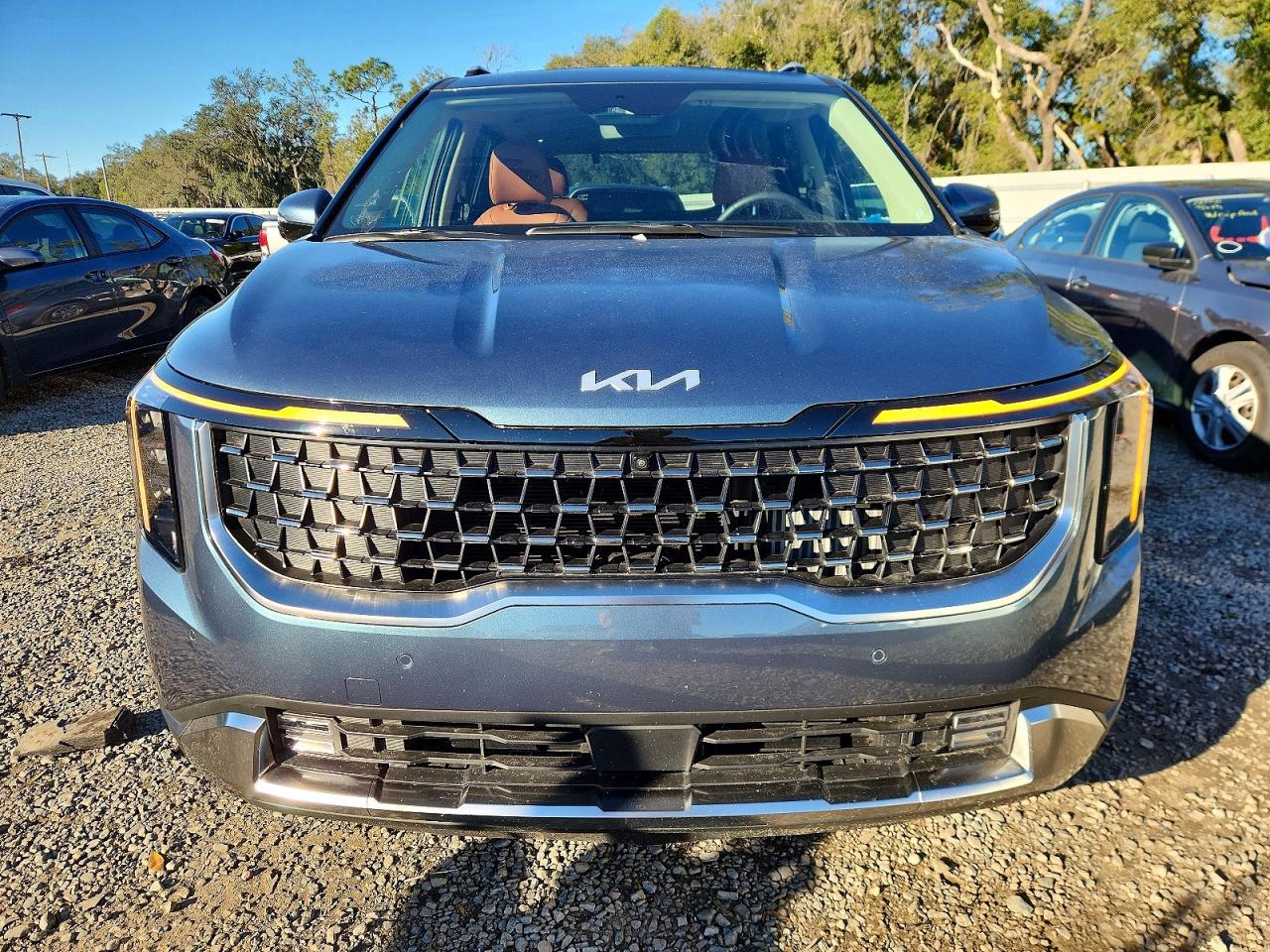 2026 Kia Carnival Sx - Фото 5