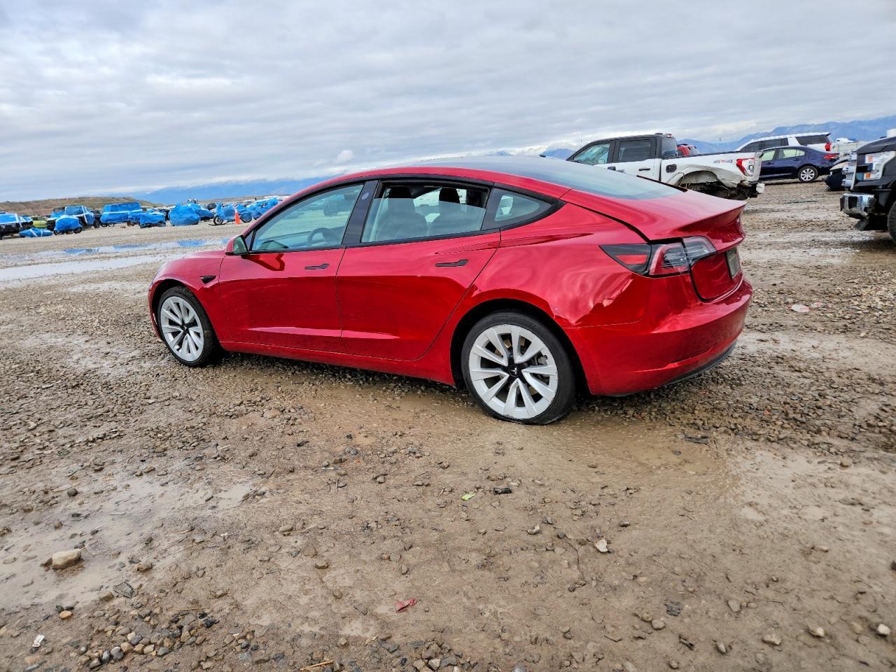 2021 Tesla Model 3 - Фото 2