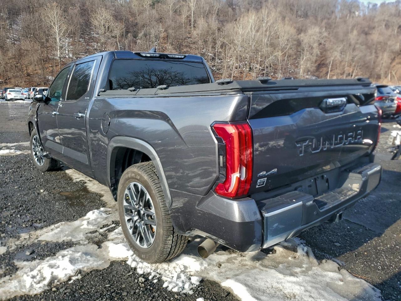 2023 Toyota Tundra Crewmax Limited - Фото 2