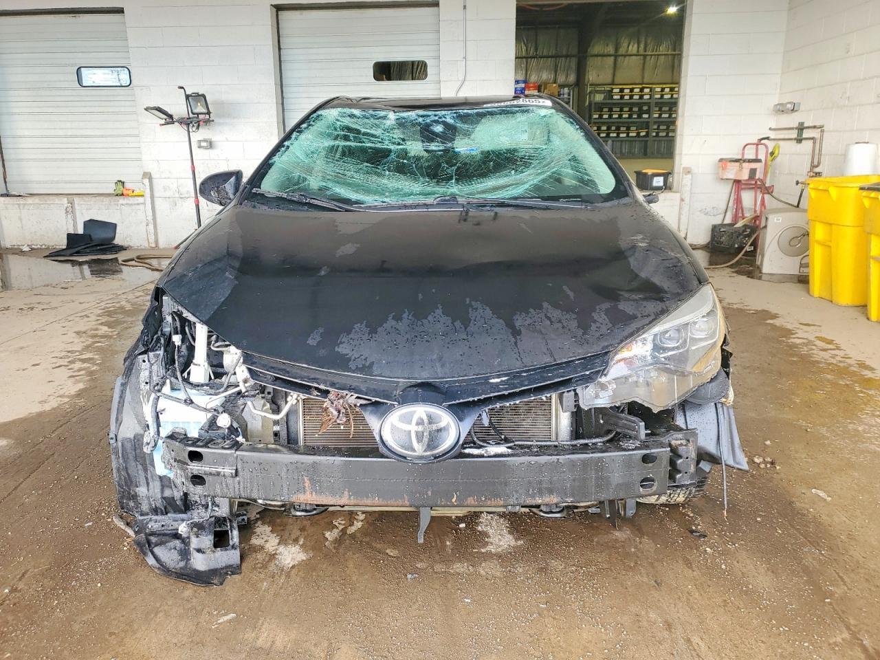 2019 Toyota Corolla - Фото 5