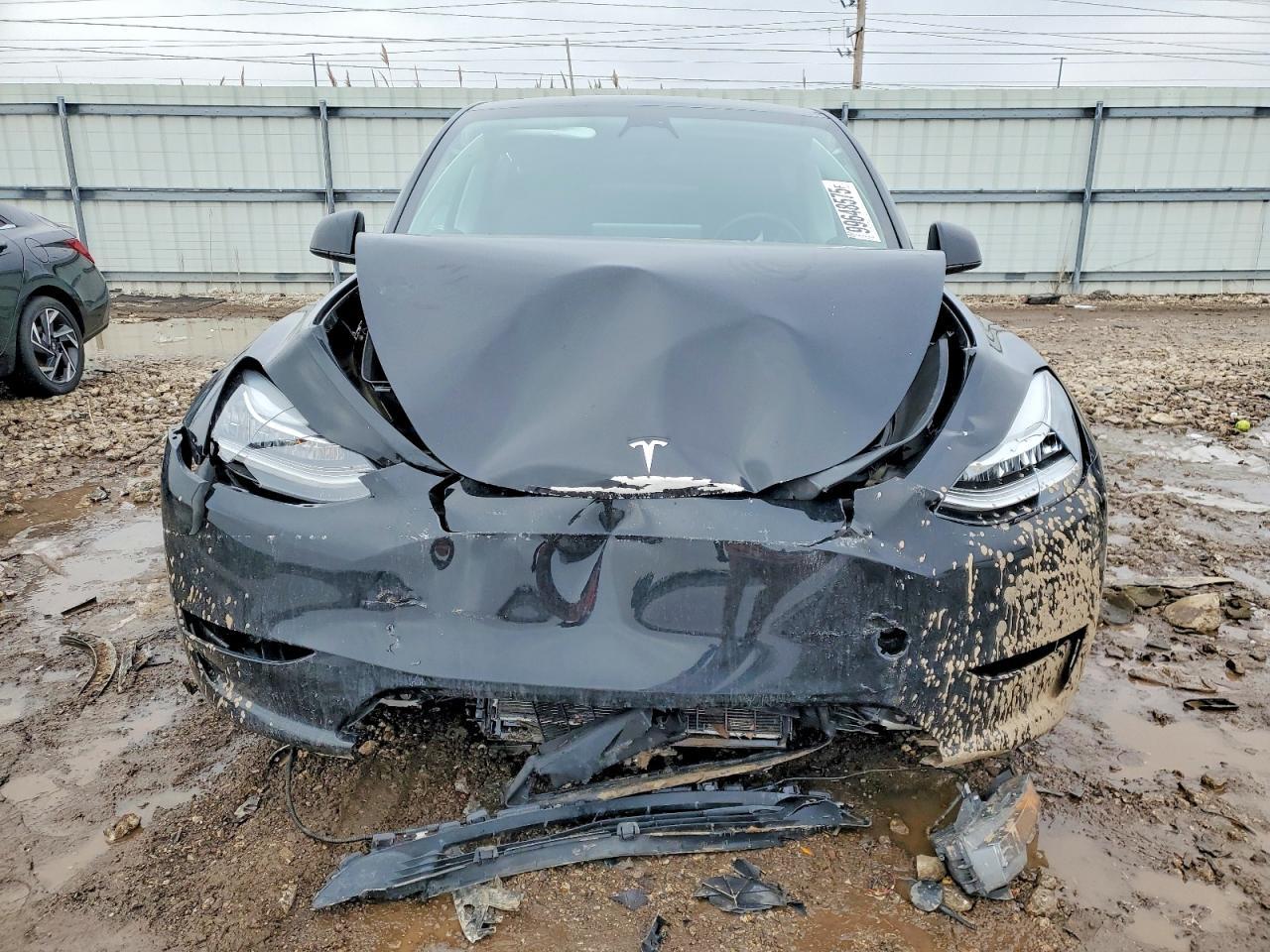 2023 Tesla Model Y - Фото 5