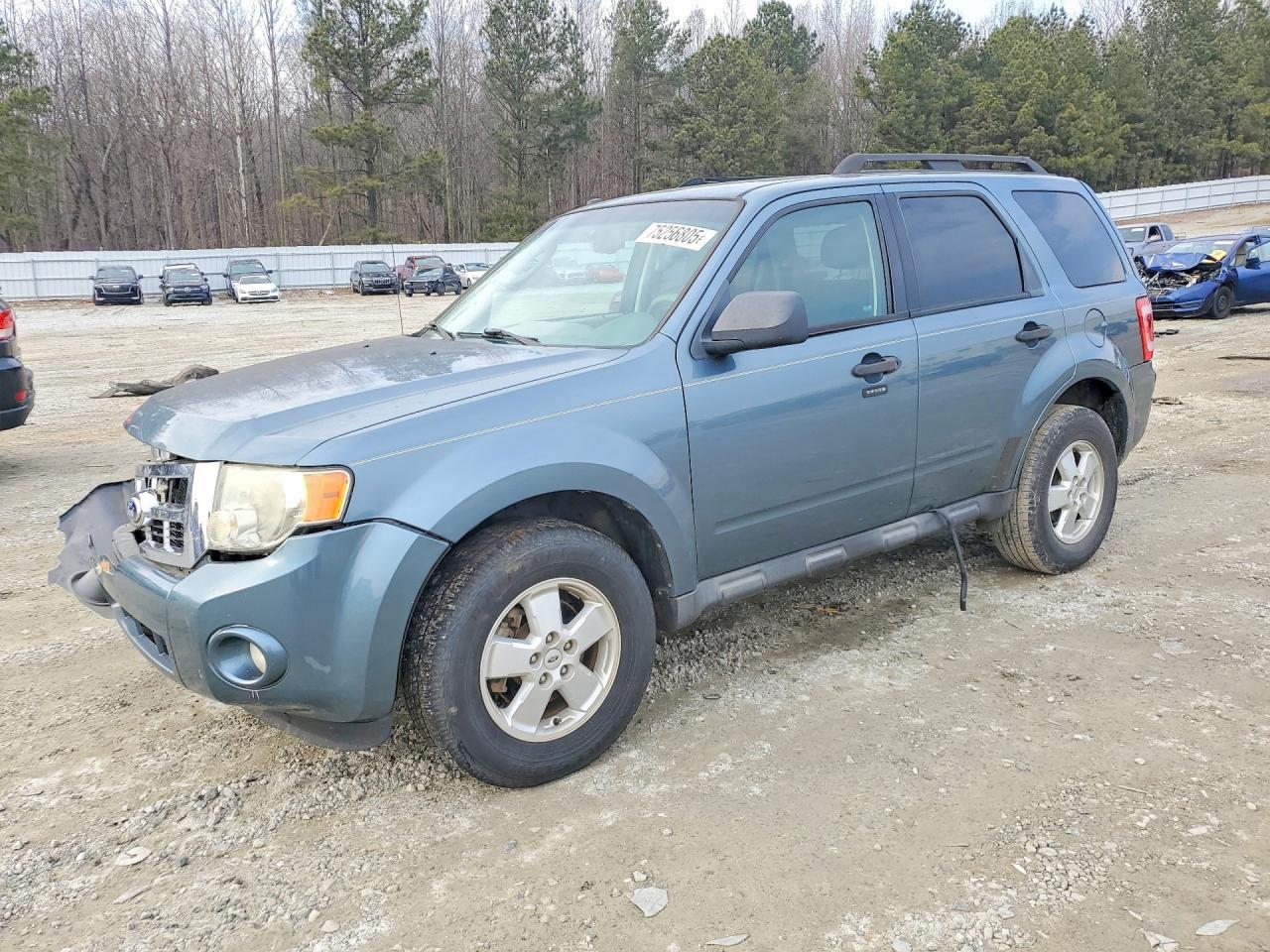2010 Ford Escape Xlt