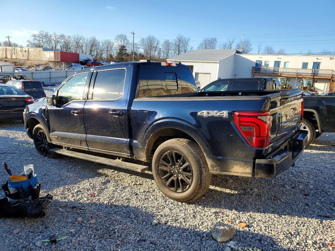2025 Ford F150 Platinum - Фото 2