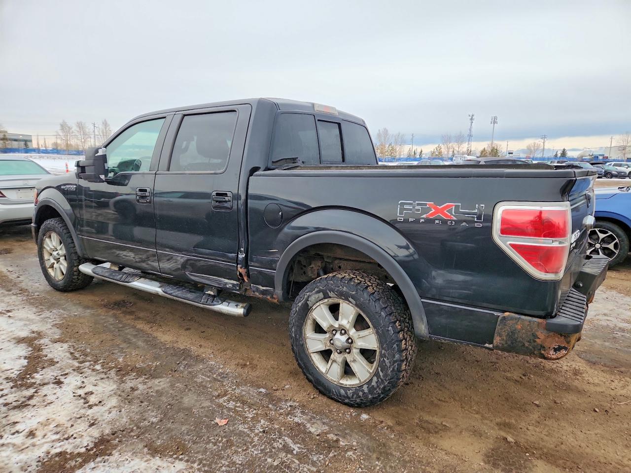 2010 Ford F150 Supercrew - Фото 2