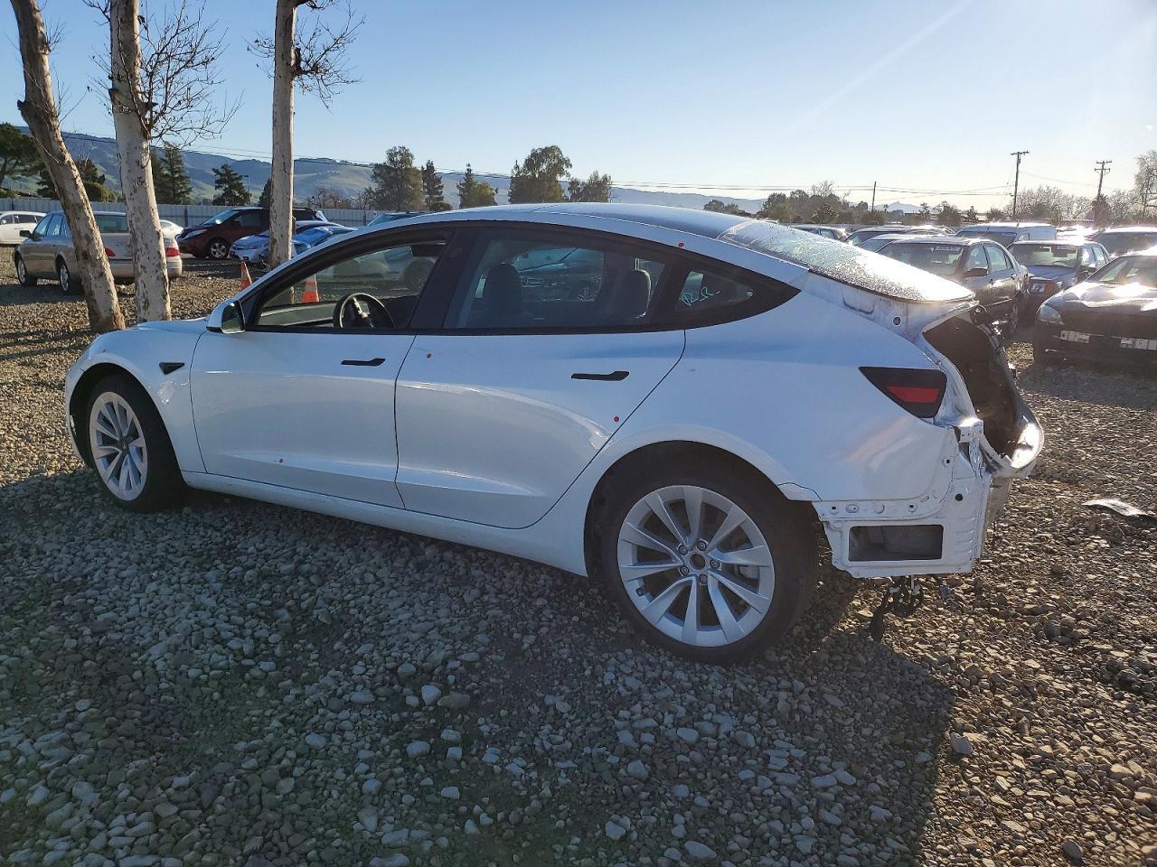 2023 Tesla Model 3 - Фото 2