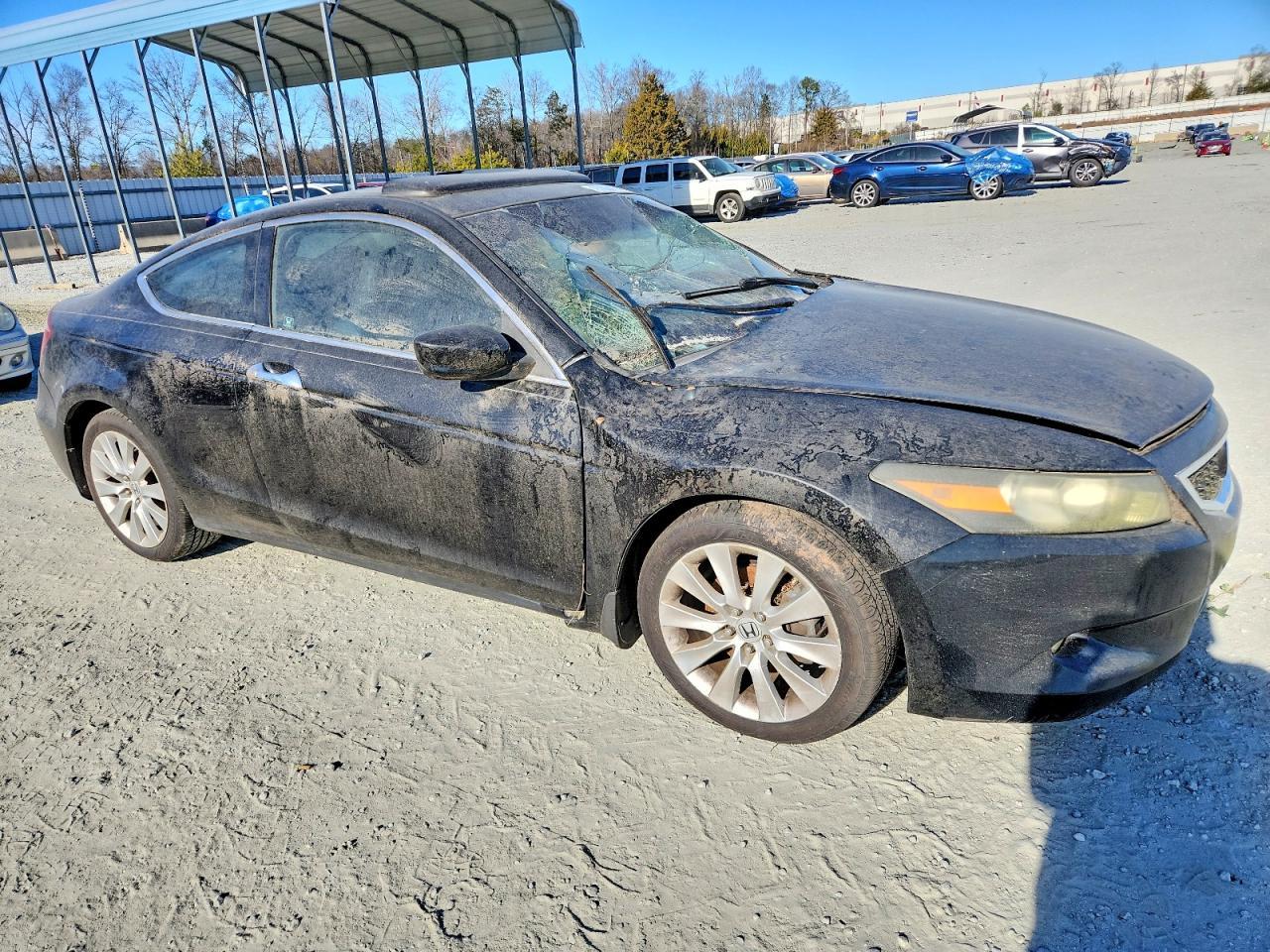 2008 Honda Accord Exl - Фото 4