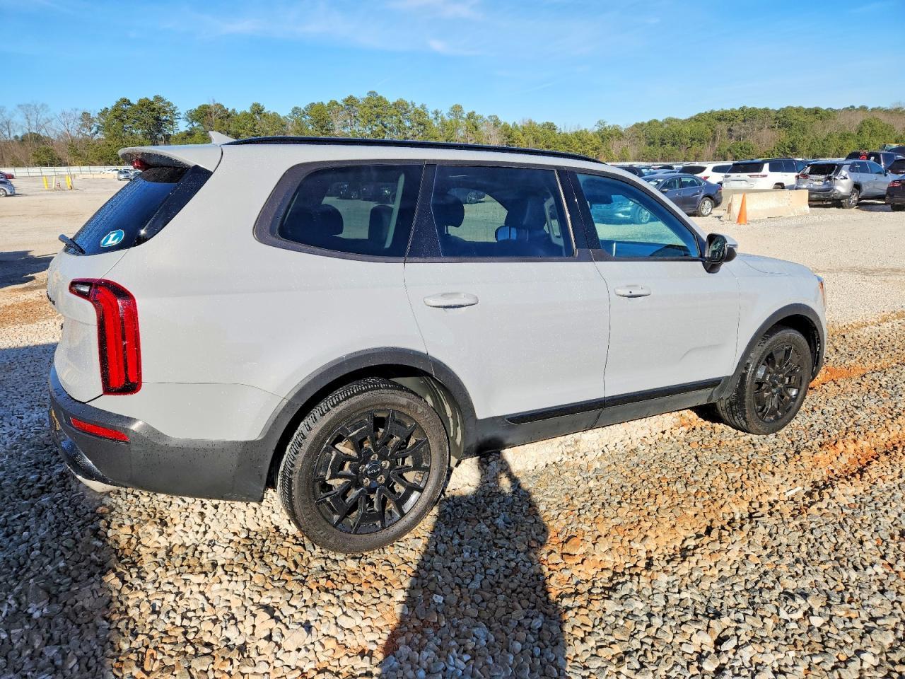 2022 Kia Telluride Ex - Фото 3