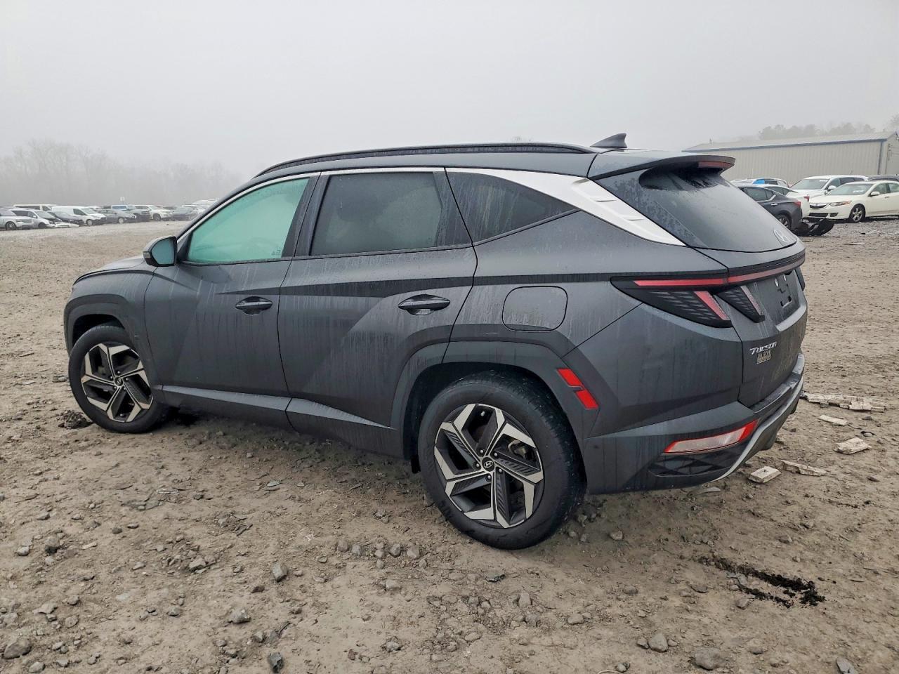 2023 Hyundai Tucson Limited - Фото 2