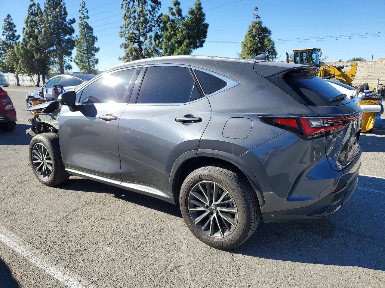 2024 Lexus Nx 350 Base - Фото 2