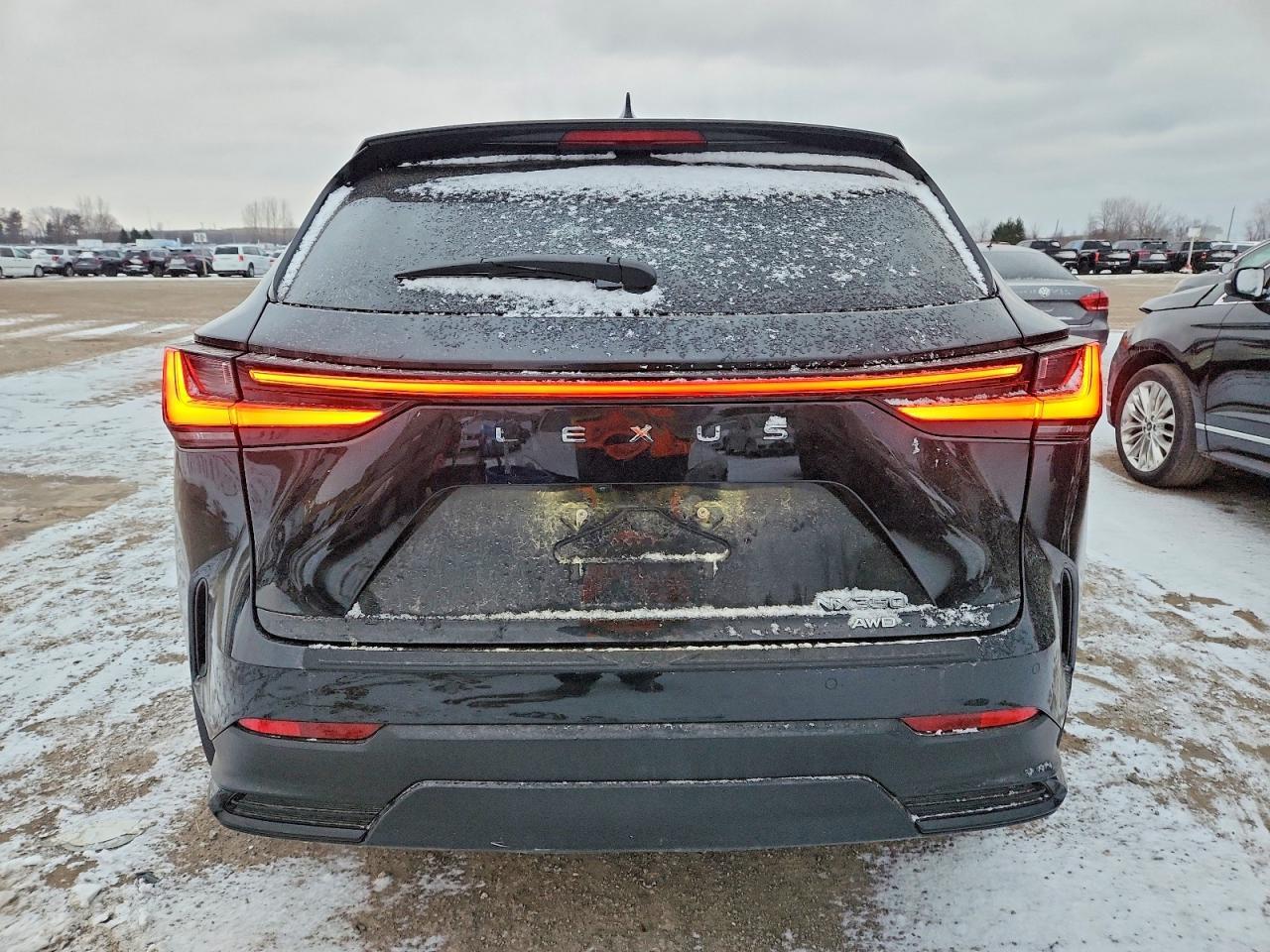 2023 Lexus Nx 350 - Image 6