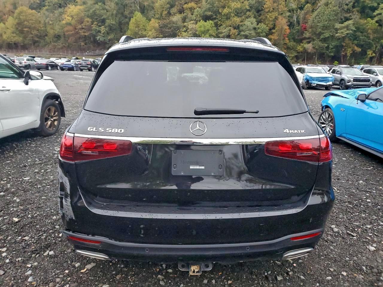 2024 Mercedes-Benz Gls 580 4Matic - Фото 6