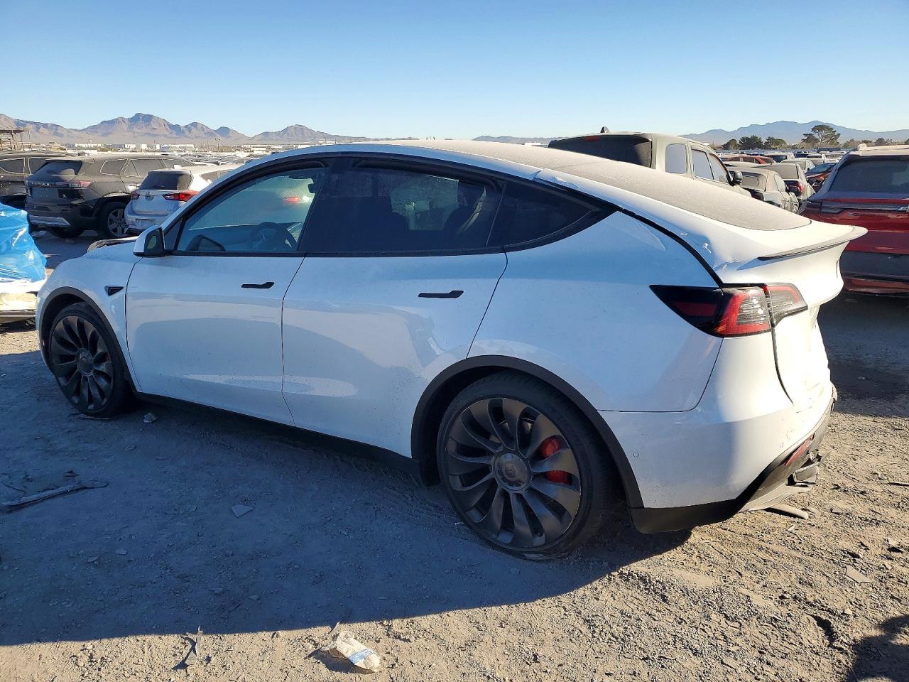 2022 Tesla Model Y - Фото 2
