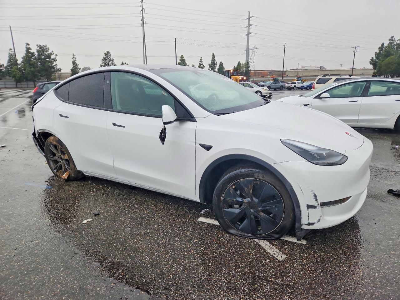 2024 Tesla Model Y - Image 4