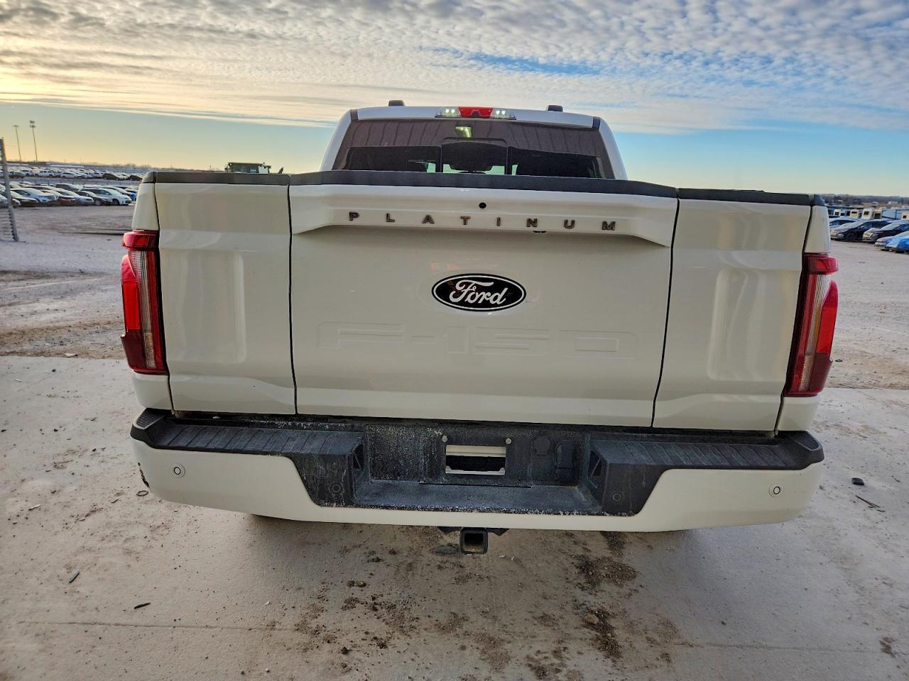 2024 Ford F150 Platinum - Image 6