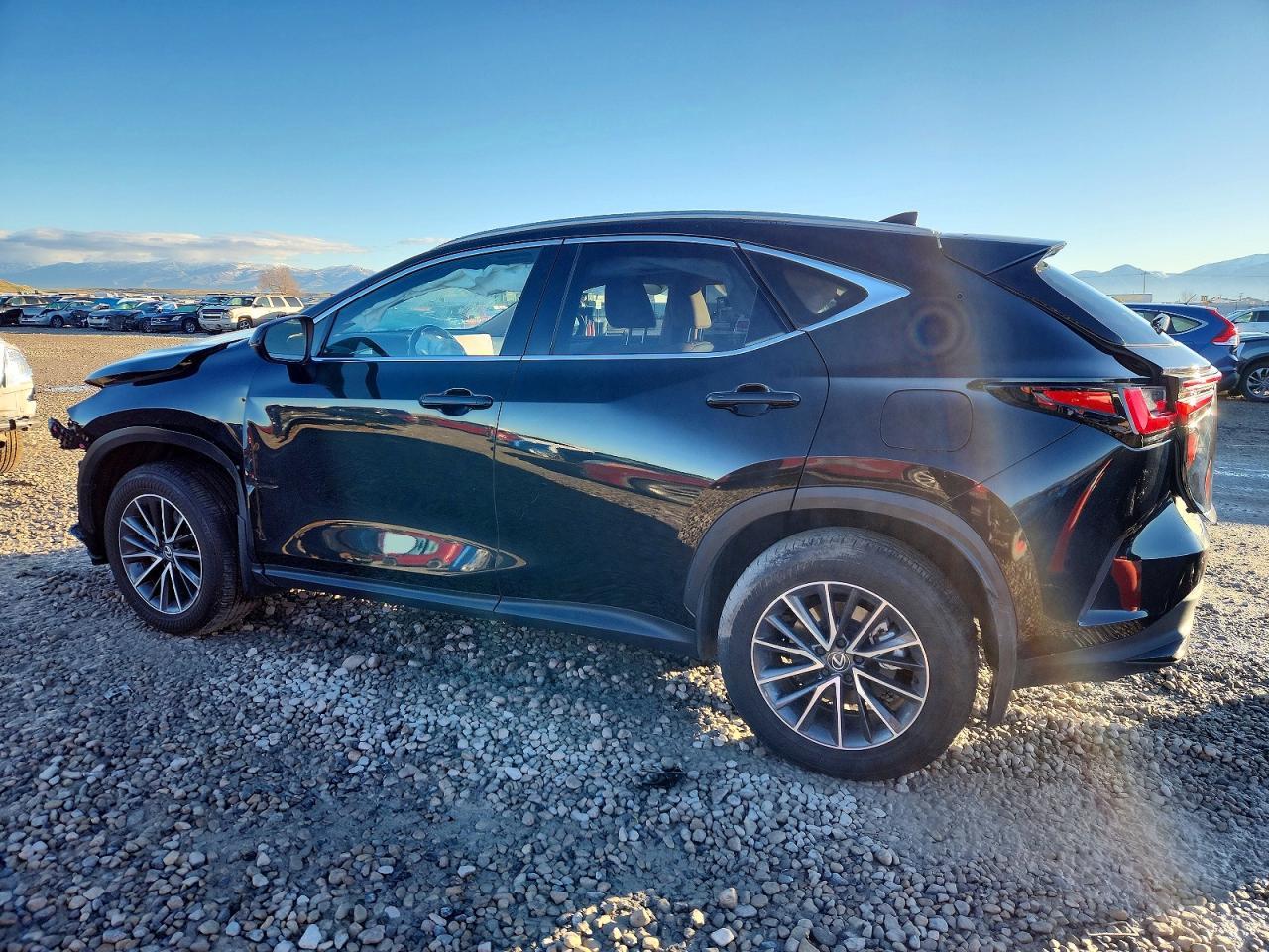 2025 Lexus Nx 350H Base - Фото 2