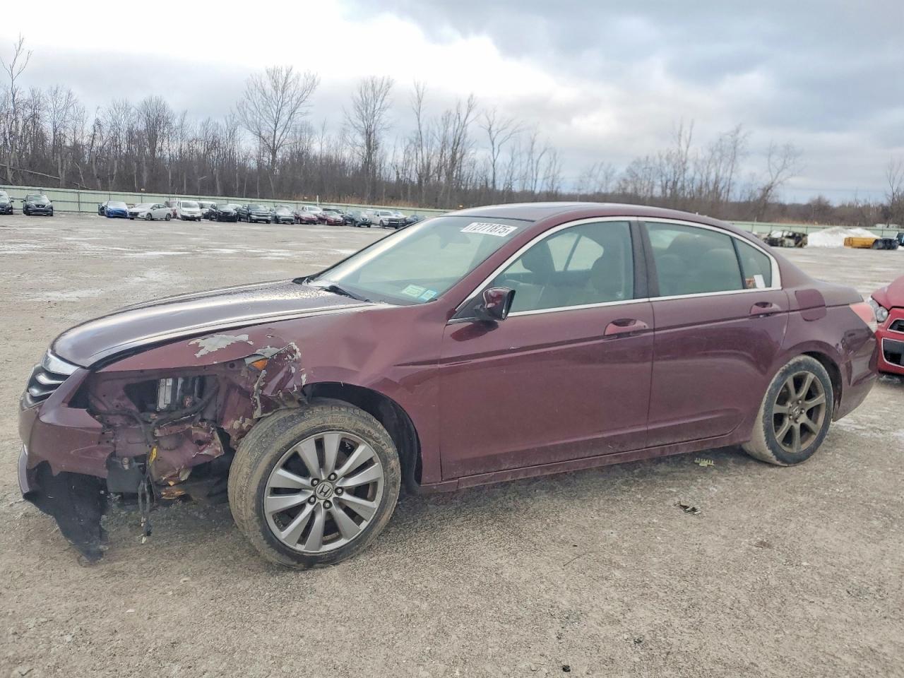 2011 Honda Accord Exl