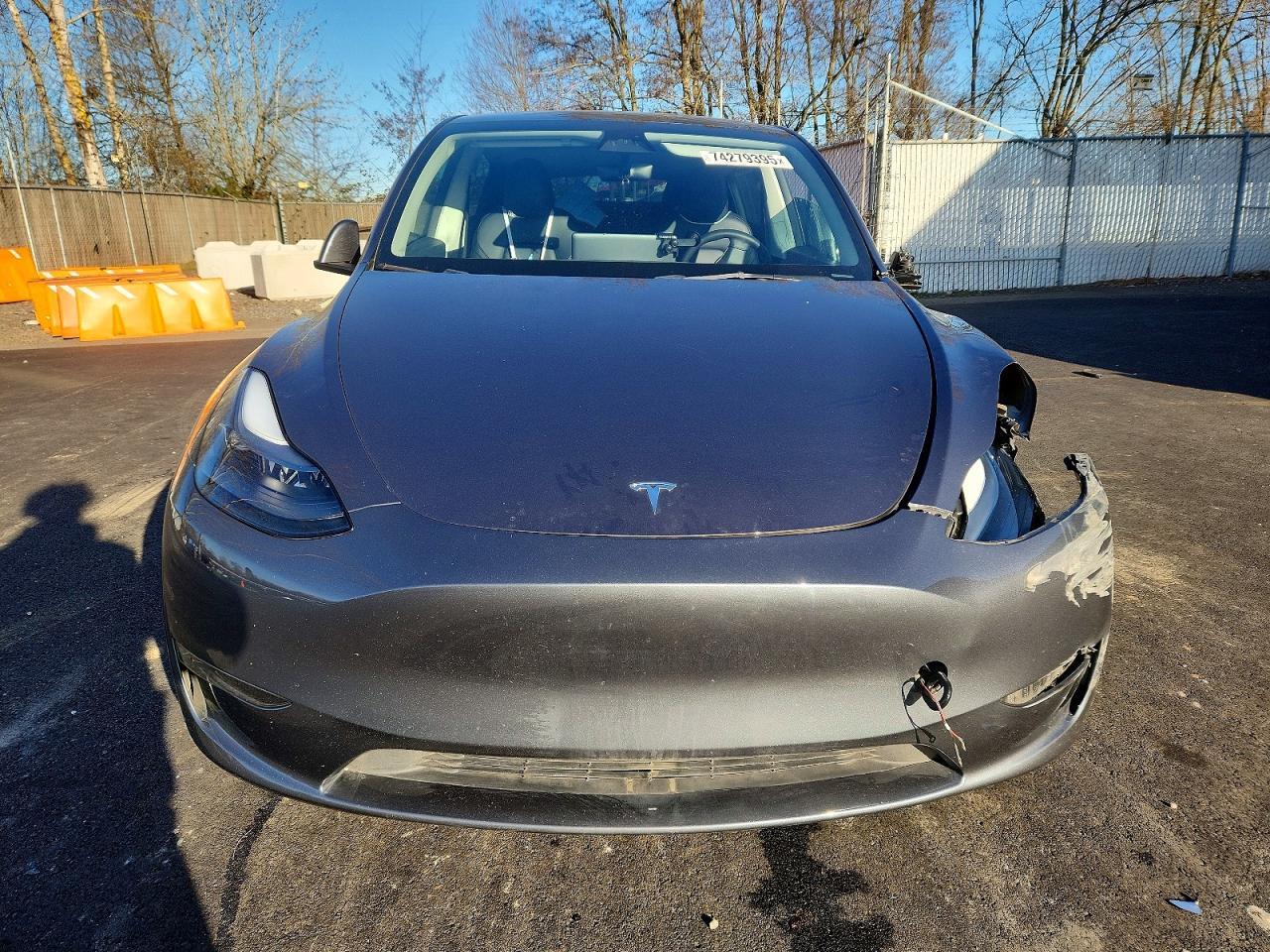 2023 Tesla Model Y - Фото 5