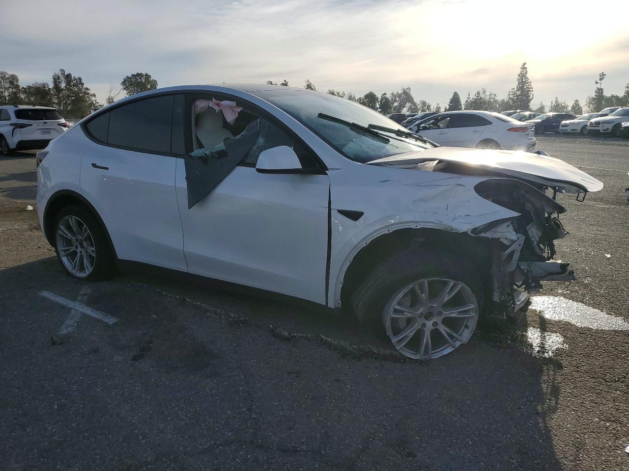2023 Tesla Model Y - Фото 4