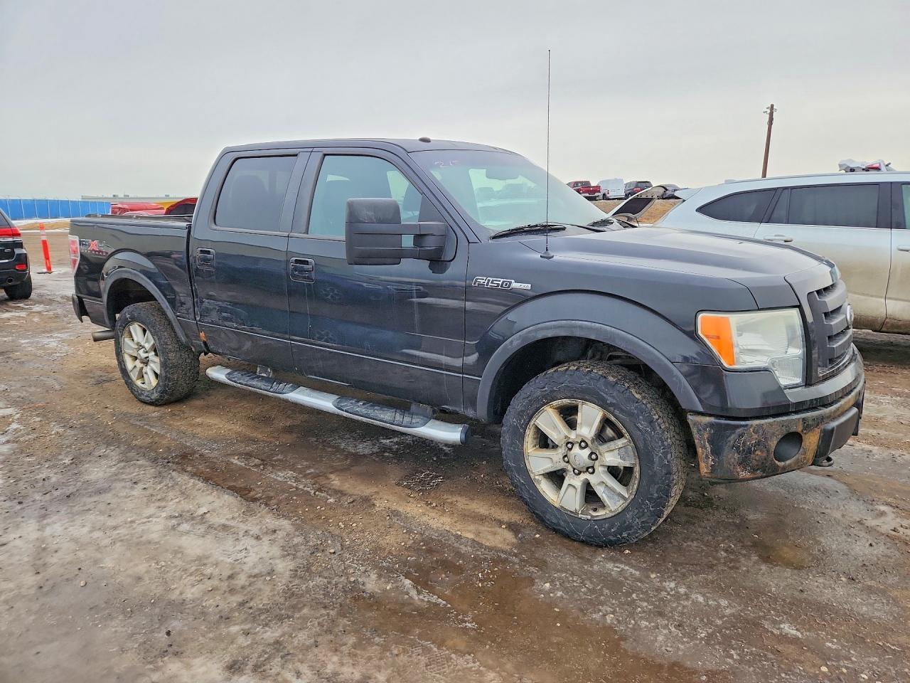 2010 Ford F150 Supercrew - Фото 4