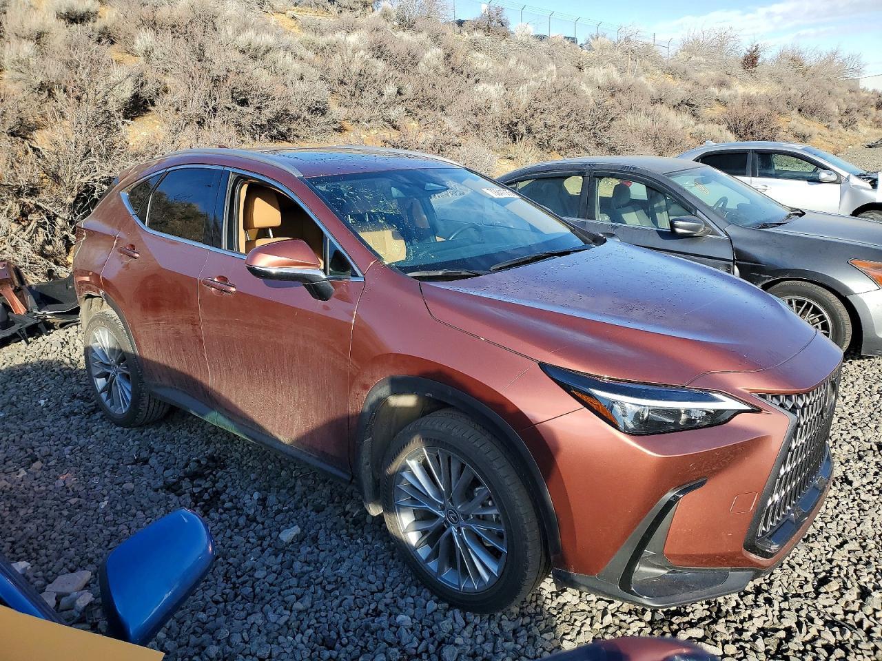 2025 Lexus Nx 350H Base - Фото 4