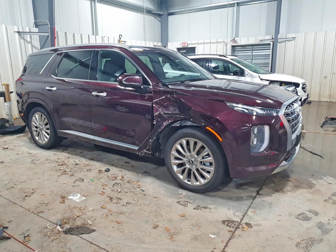 2020 Hyundai Palisade Limited - Фото 4