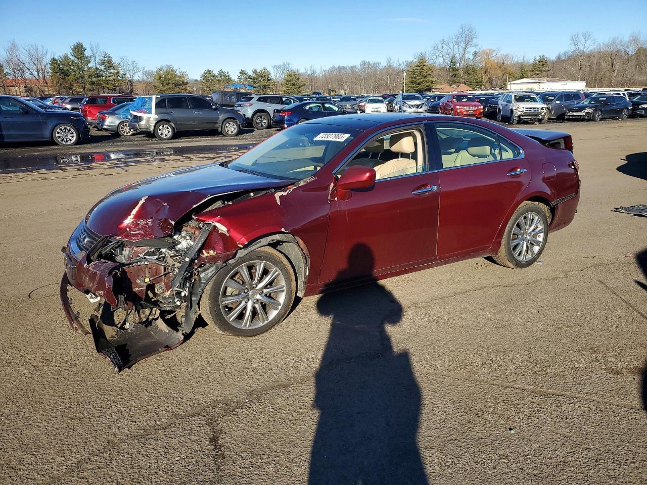 lot
