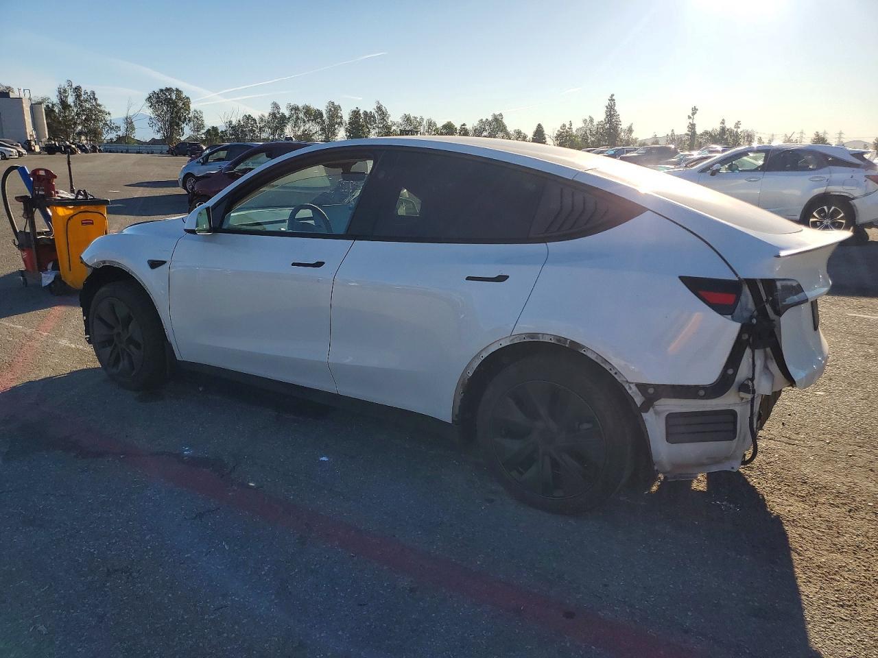 2024 Tesla Model Y - Фото 2