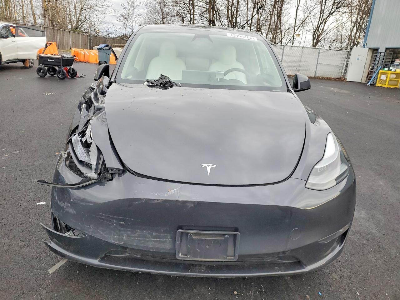 2024 Tesla Model Y - Фото 5
