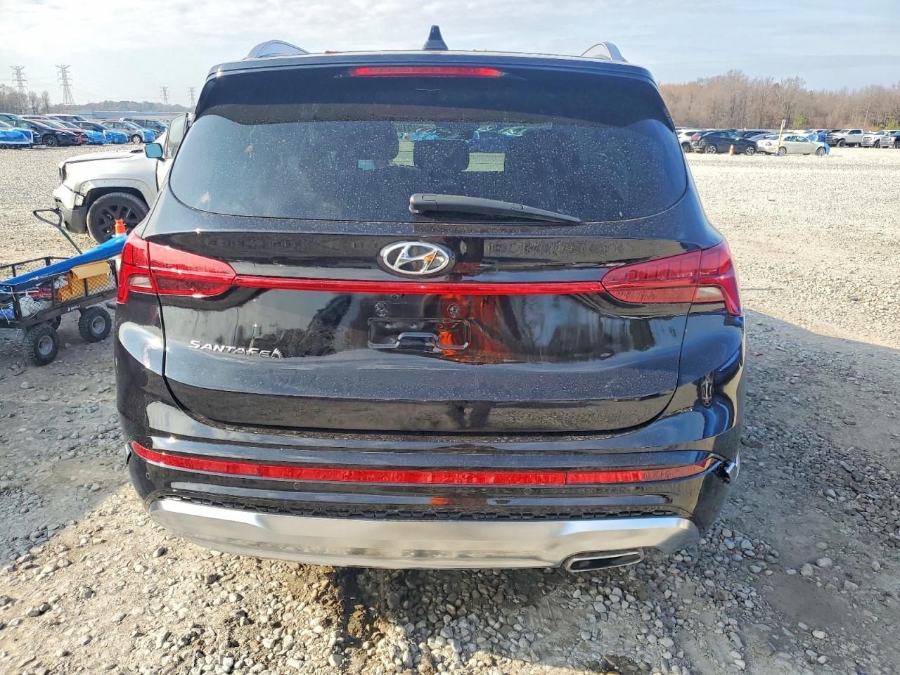 2023 Hyundai Santa Fe Calligraphy - Фото 6