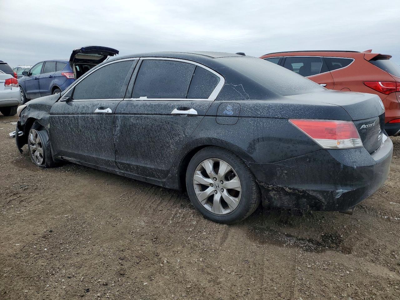 2009 Honda Accord Exl - Image 2