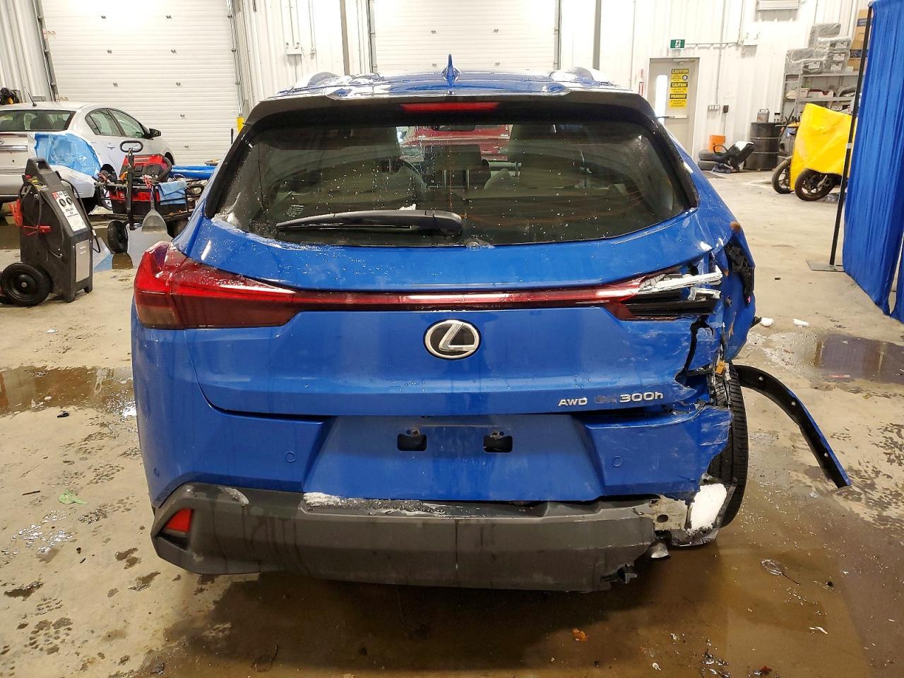 2025 Lexus Ux 300H Base - Фото 6