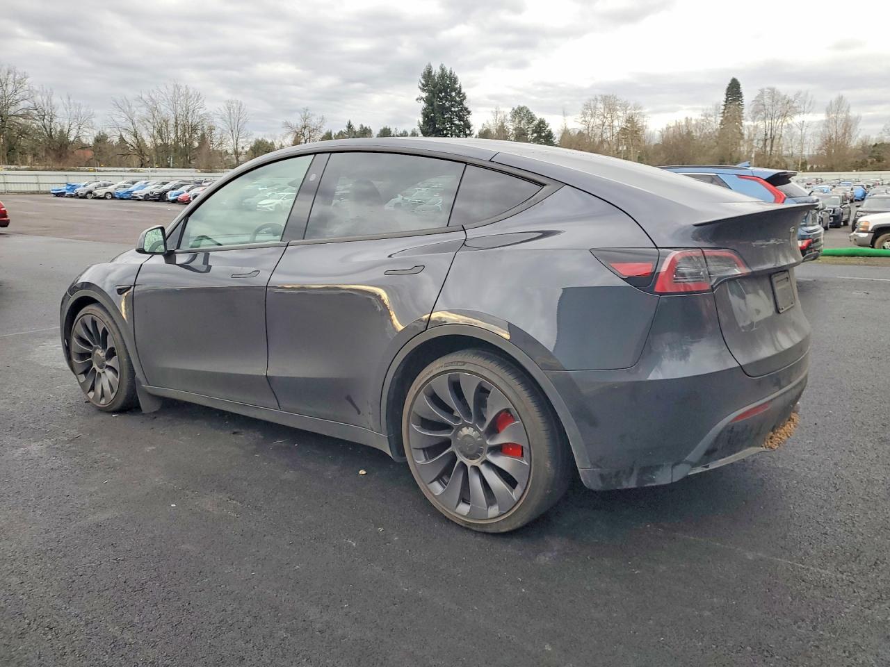2024 Tesla Model Y - Фото 2