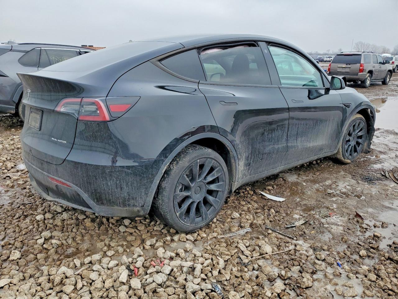 2023 Tesla Model Y - Фото 3