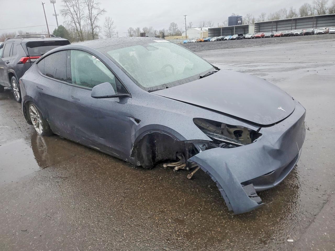 2023 Tesla Model Y - Фото 4