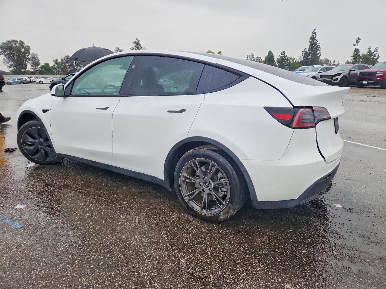 2024 Tesla Model Y - Image 2