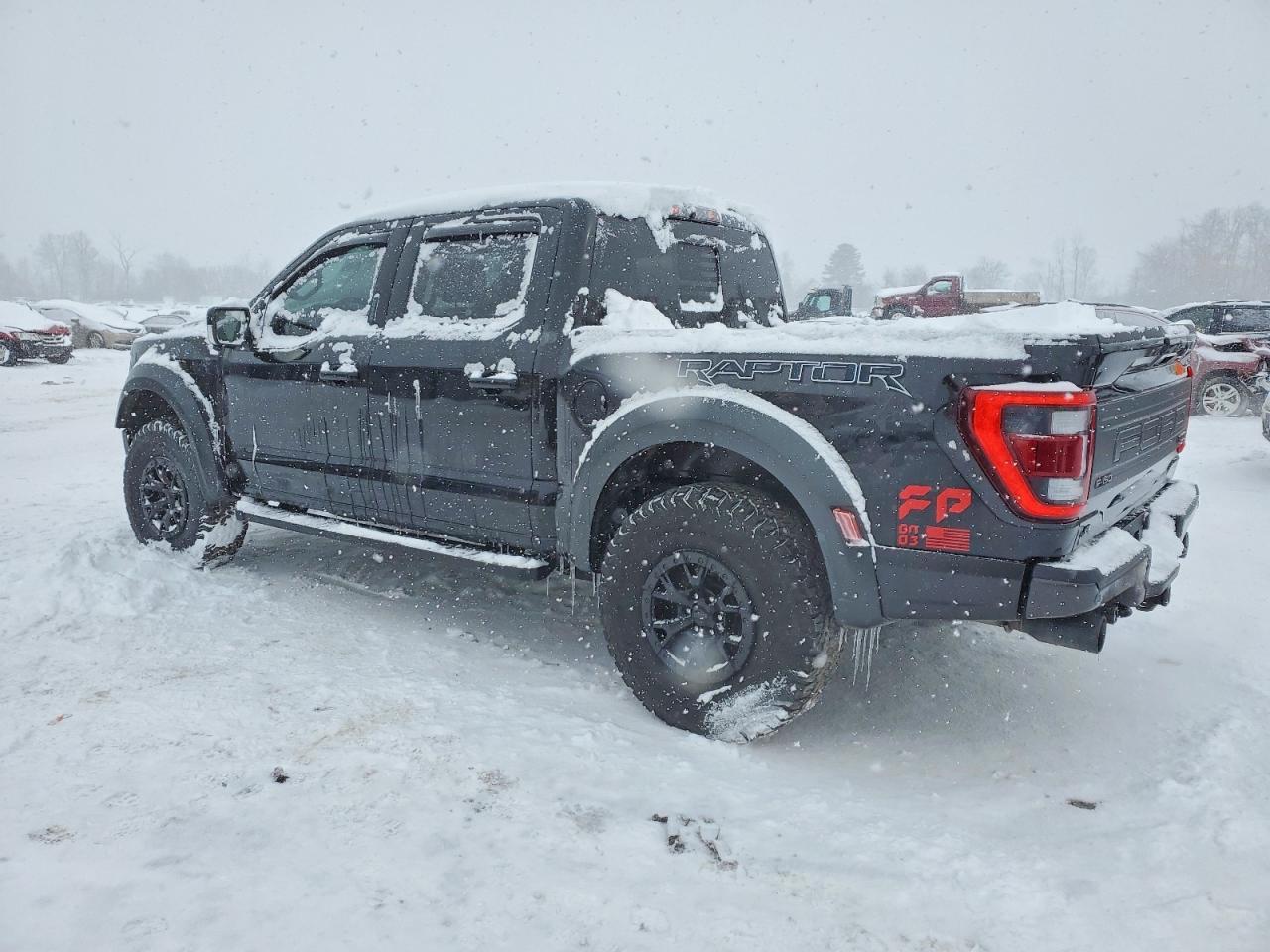 2023 Ford F150 Raptor - Image 2