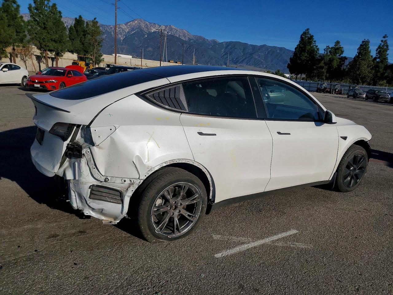 2024 Tesla Model Y - Фото 3