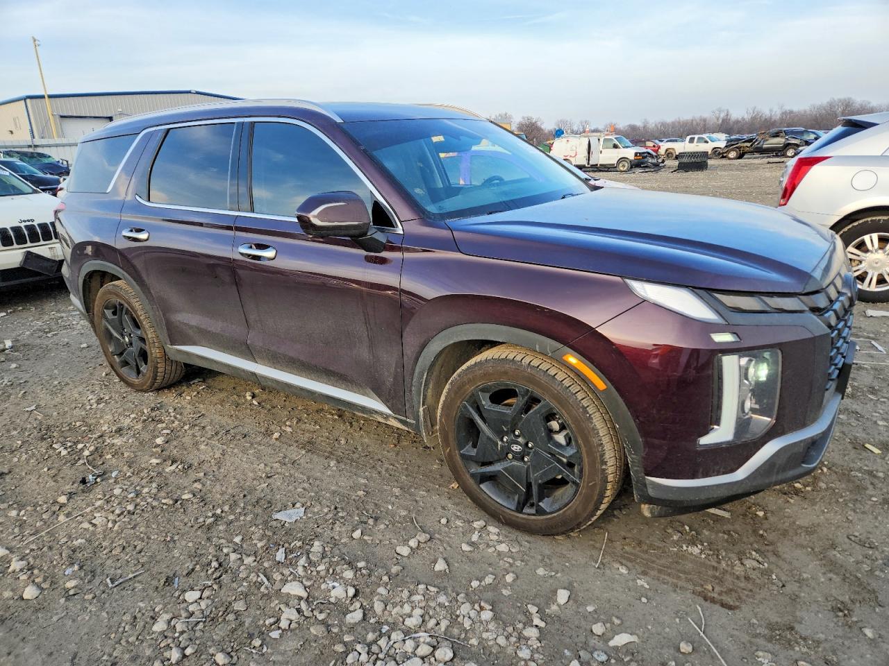 2024 Hyundai Palisade Sel Premium - Фото 4