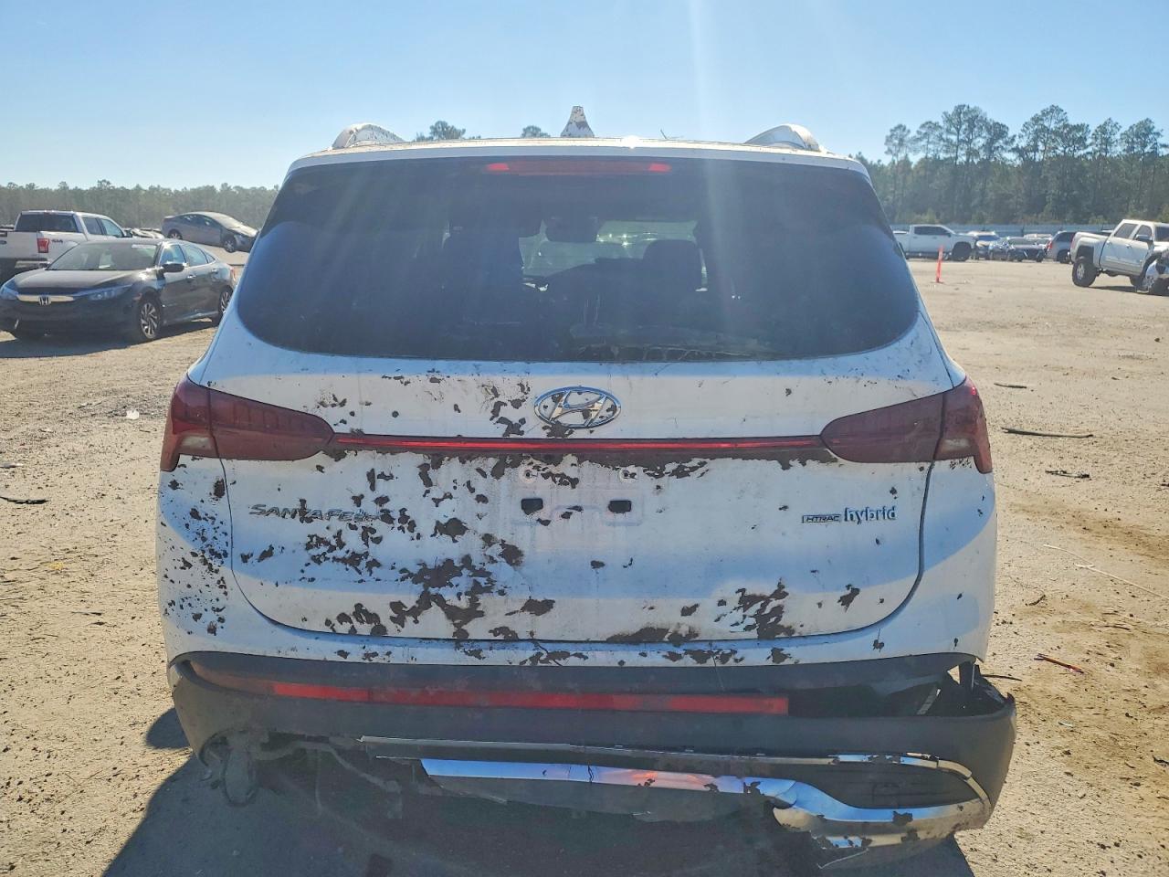 2022 Hyundai Santa Fe Hybrid Sel Premium - Фото 6