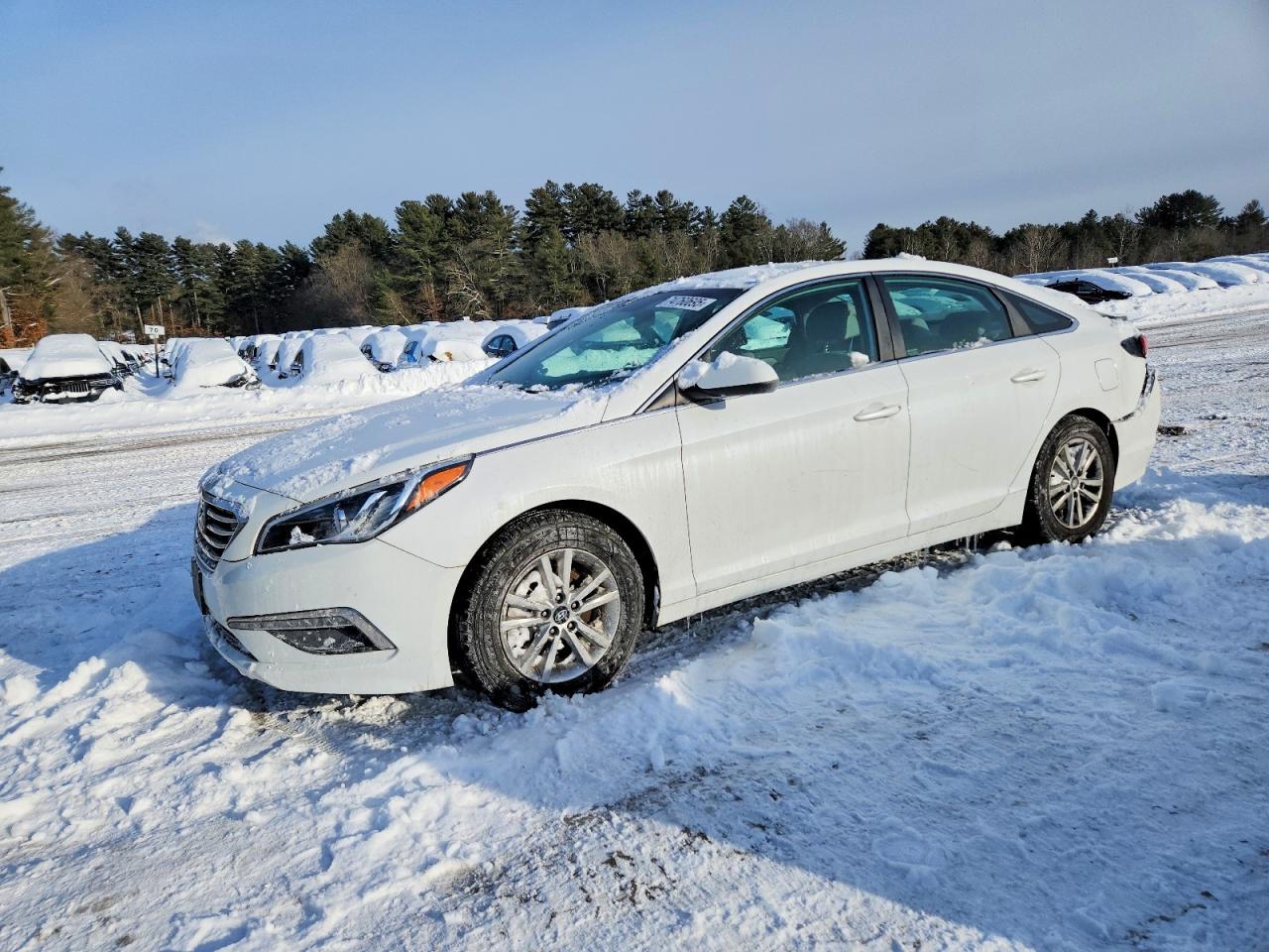 2015 Hyundai Sonata Se