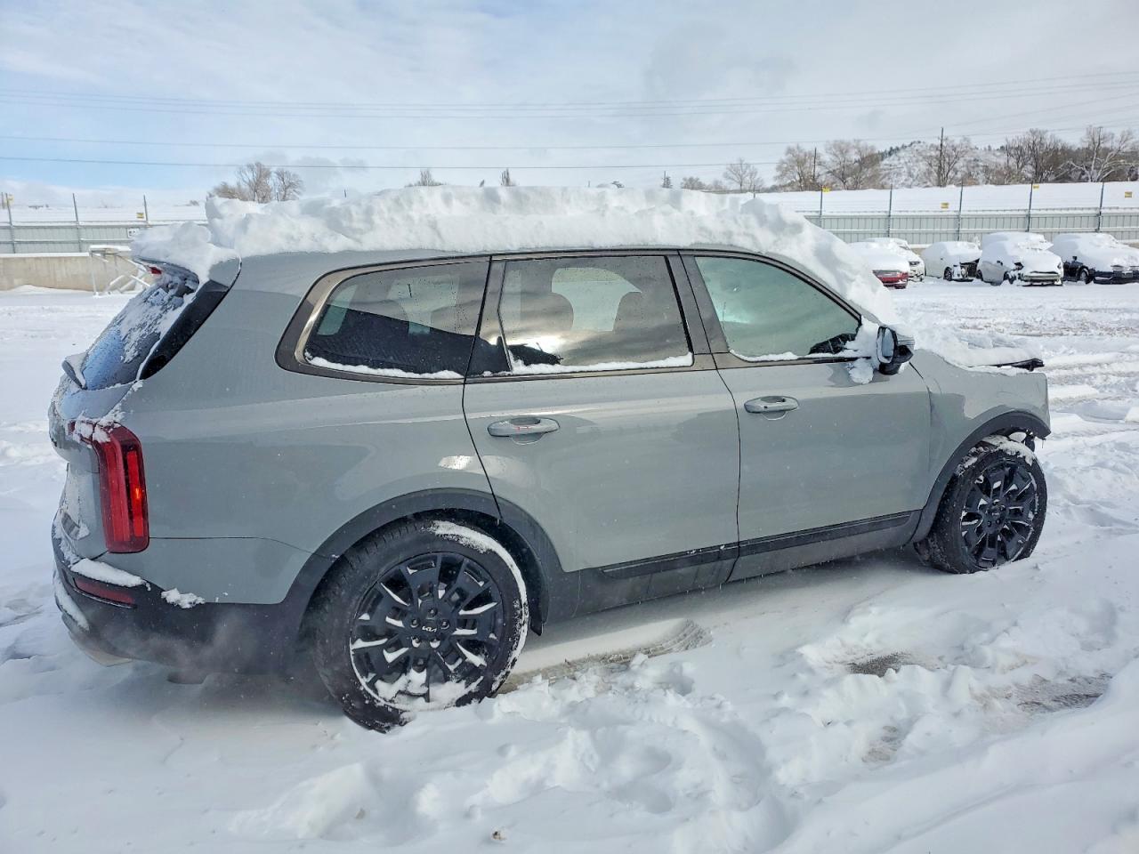 2022 Kia Telluride Sx - Фото 3