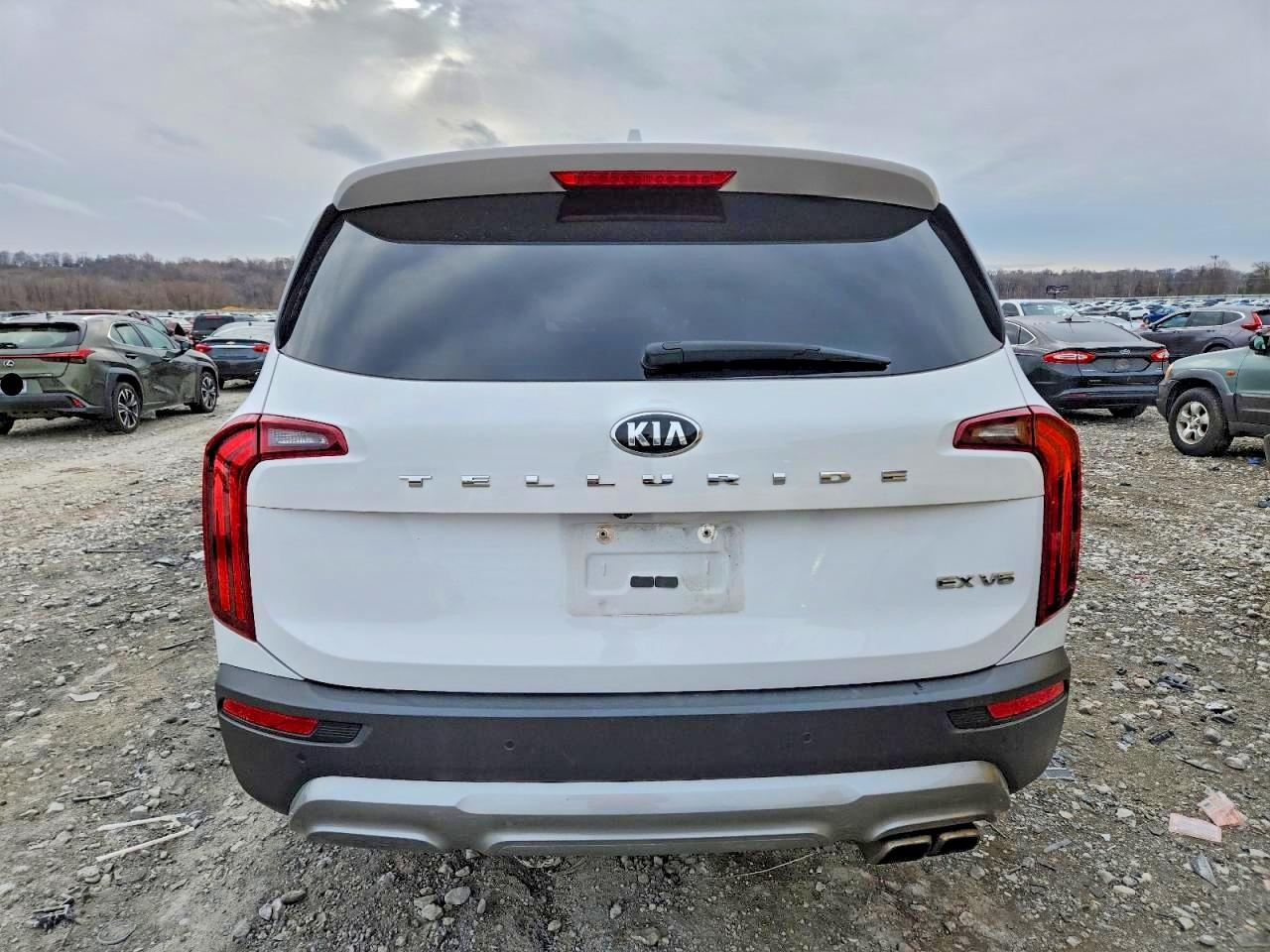 2021 Kia Telluride Ex - Фото 6
