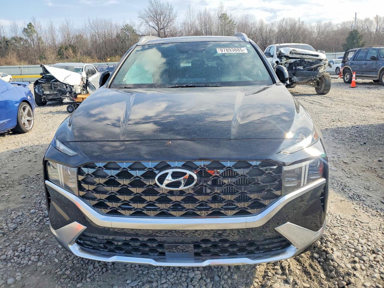 2023 Hyundai Santa Fe Calligraphy - Фото 5