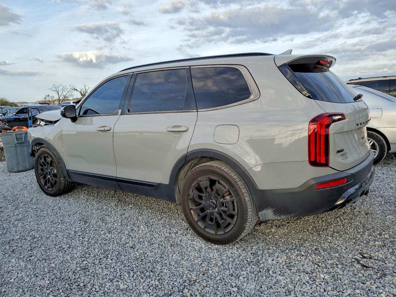 2022 Kia Telluride Ex - Image 2