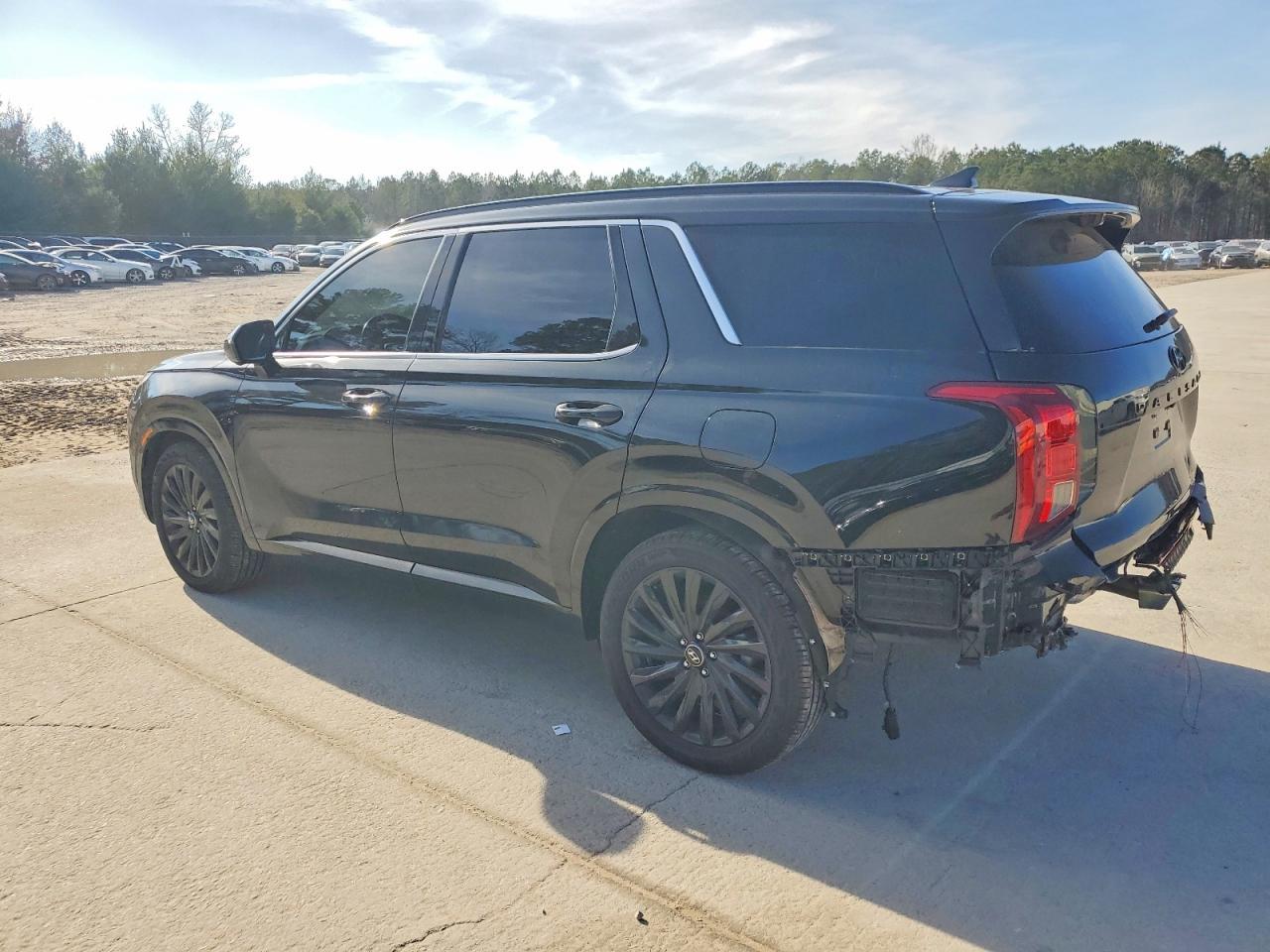 2024 Hyundai Palisade Calligraphy - Фото 2