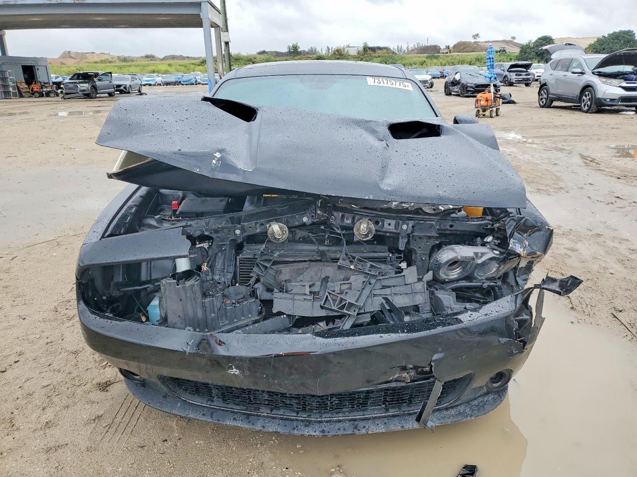 2019 Dodge Challenger Sxt - Фото 5