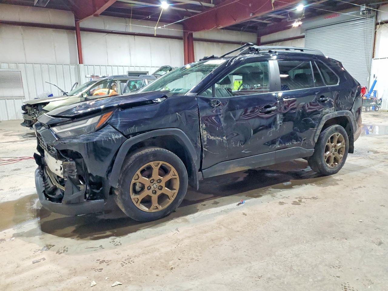 2024 Toyota Rav4 Woodland Edition