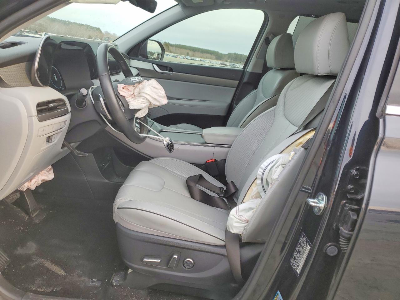 2024 Hyundai Palisade Sel Premium - Фото 7