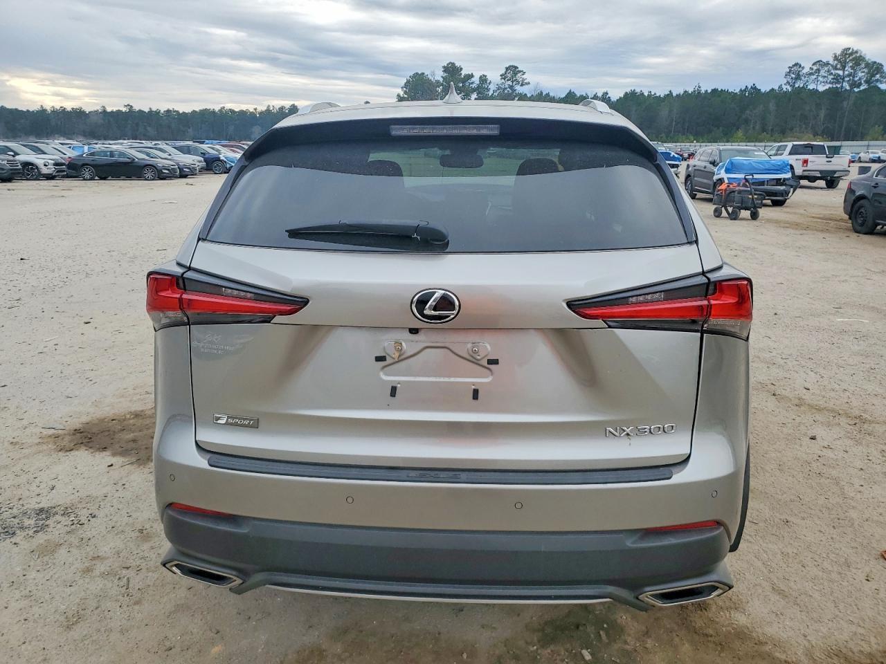 2020 Lexus Nx 300 F Sport - Фото 6